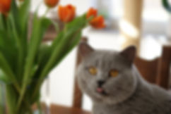 DSC01329.jpeg