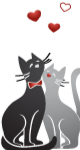 CHATONGIFT_edited.png