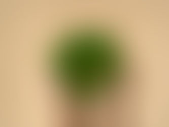 Un Parc de Cassan Plus Vert : Apportez Vos Idées Innovantes!