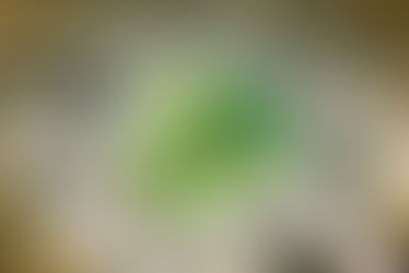 🌳 Respectons notre Plan Local d'Urbanisme (PLU) pour un cadre de vie harmonieux au Parc de Cassan ! 🏡