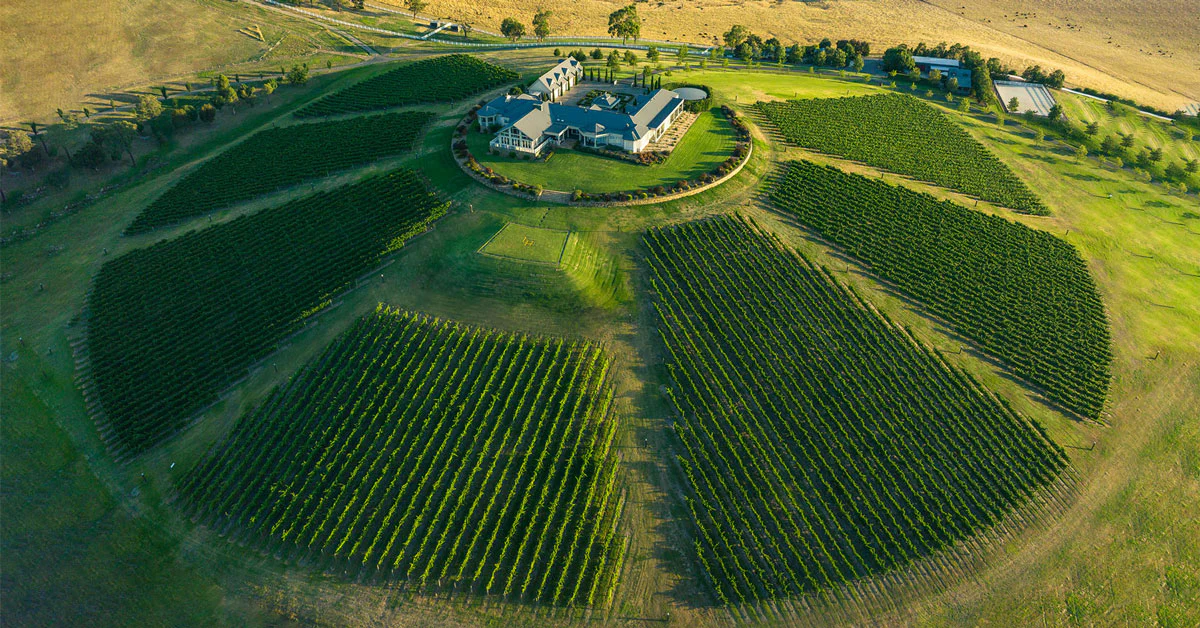Yarra Valley, what to visit in Australia, tours to Australia, guide to Australia