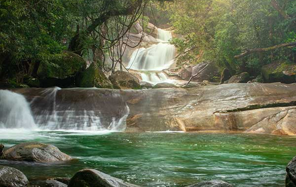 Wooroonooran National Park, what to visit in Australia, tours to Australia, guide to Australia