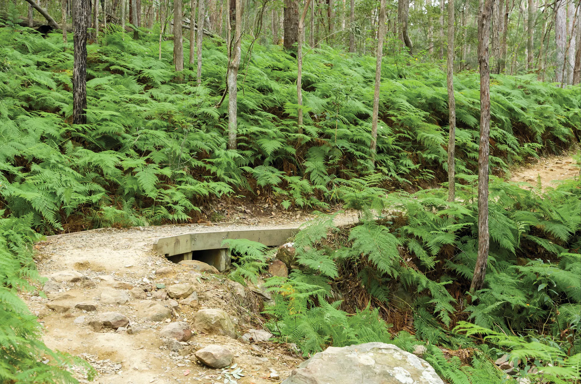 glass House Mountains, what to visit in Australia, tours to Australia, guide to Australia