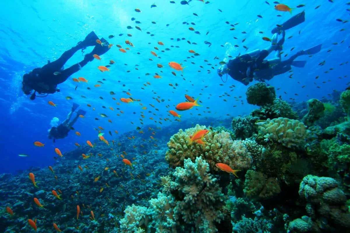 Ningaloo Marine Park, what to visit in Australia, tours to Australia, guide to Australia