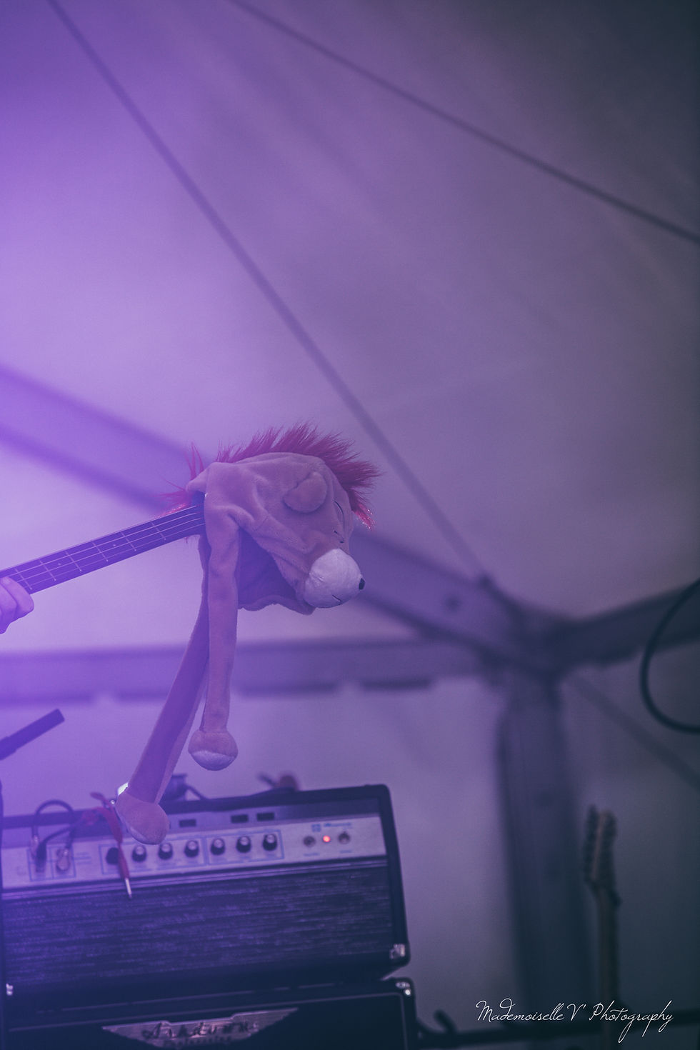 Rockalissimo Photographe concert Doubs Jura