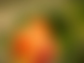 Test de la Bonnette Marumi.