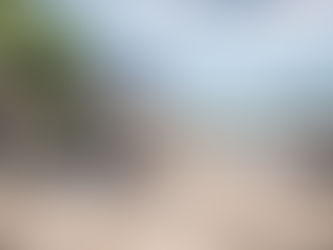 Bistrot la Cotinière - Restaurant en bord de Saône à Saint-Jean de Losne