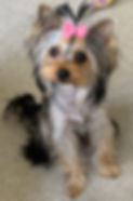 IMG_7694.JPEG