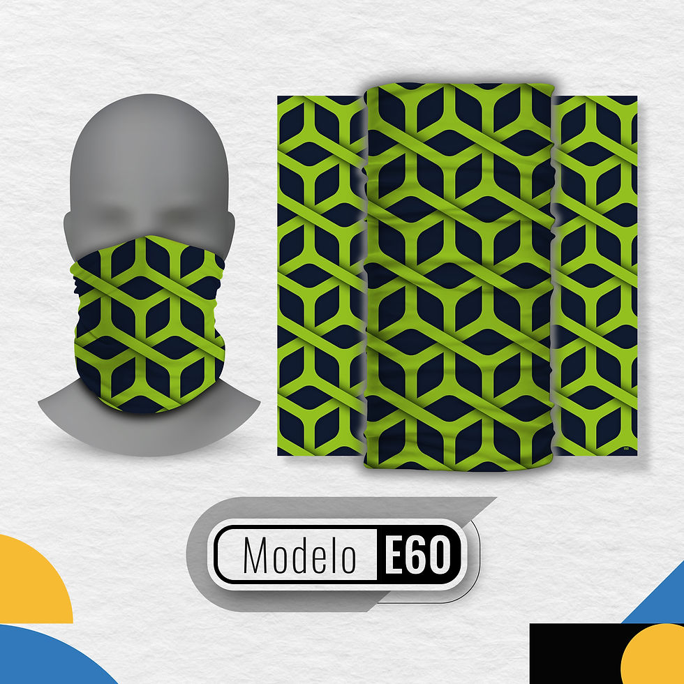PREV - E60 web