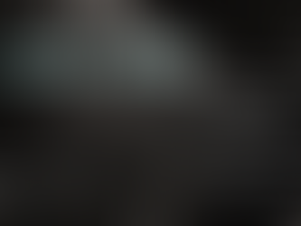 Cormorant Tour March 2023