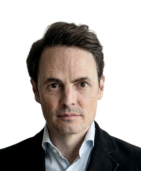 Firefly_мені потрібна лише фігура цієї л