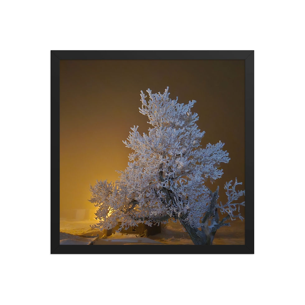 Thumbnail: Hoarfrost