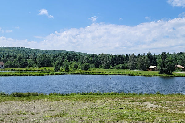 Twin Pond Cabins At Bear Tree