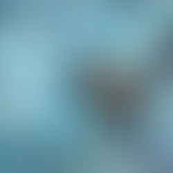 Energy Lawsuit Wastes Taxpayer Money