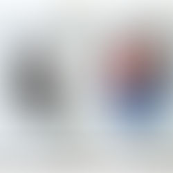 Delaware Legacies: Caesar Rodney vs. Joe Biden