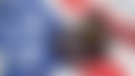 Practical Constitutional Defense Techniques for Everyday Citizens