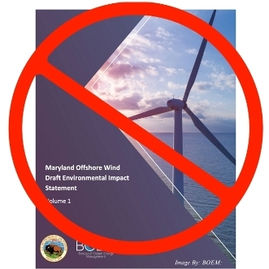 Preserving Our Coastline: Protest at the offshore wind information event