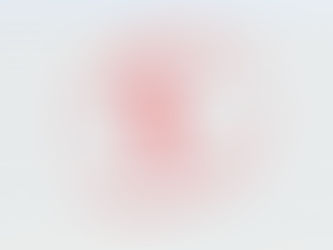 So Much for Transparency