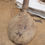 Thumbnail: butter Paddle Spoon