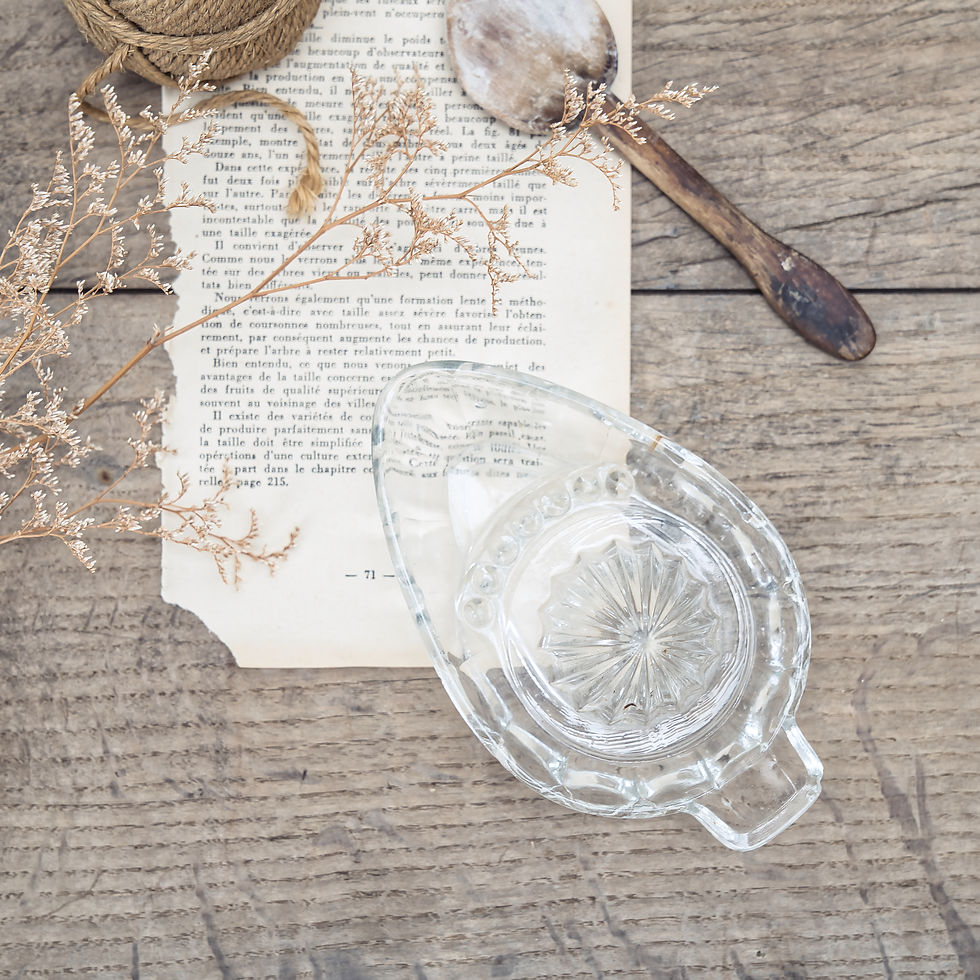 Vintage Glass Juicer