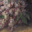 Thumbnail: Antique Oil Painting