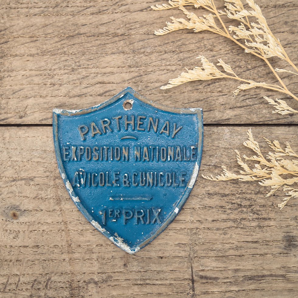 French Vintage Plaque