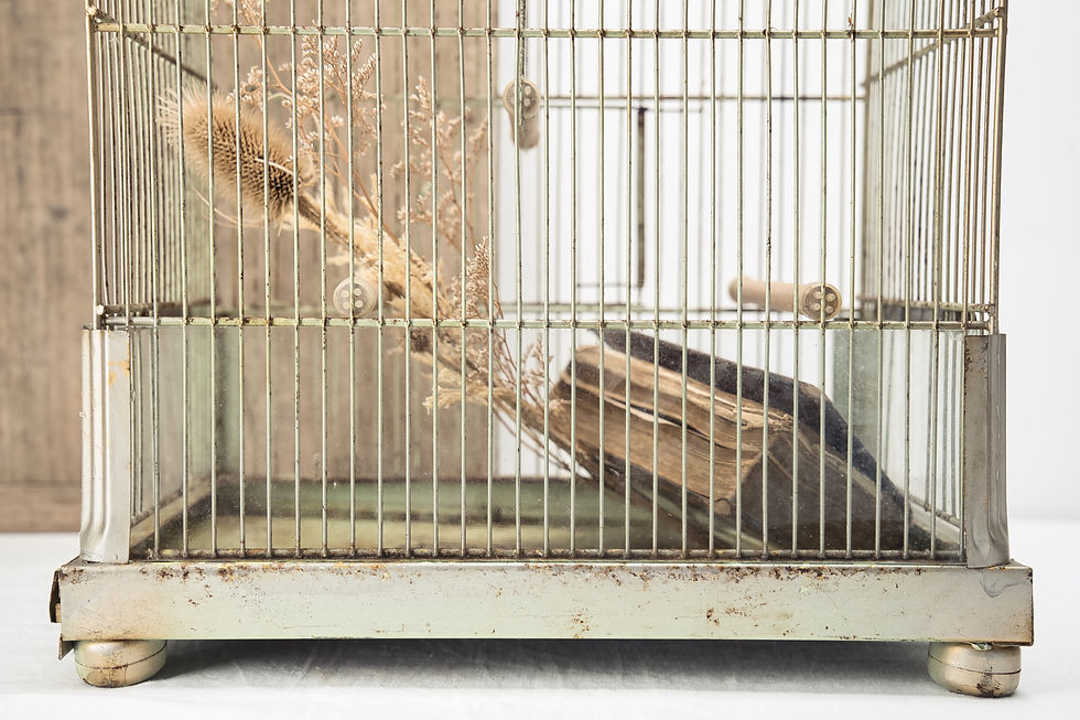 Thumbnail: French Vintage Bird Cage