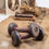 Thumbnail: French Vintage Dumbbells