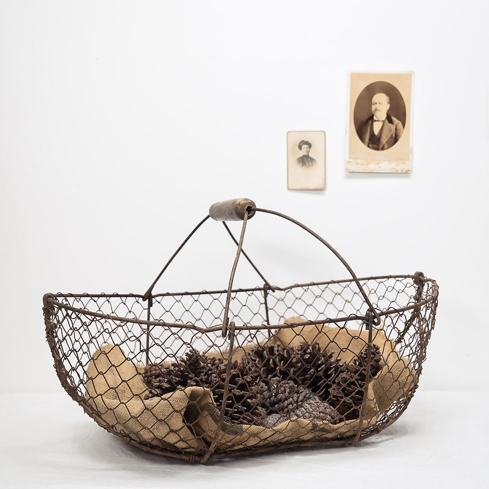French Vintage Oyster Basket