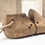 Thumbnail: French Antique Shoe Last