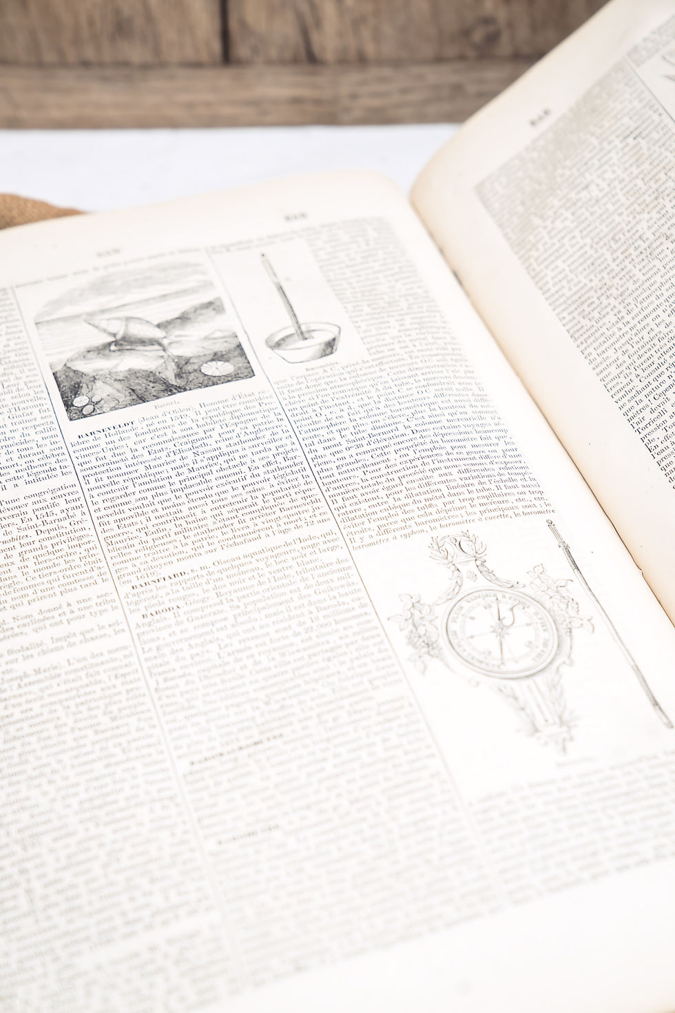 Thumbnail: French Antique Dictionary