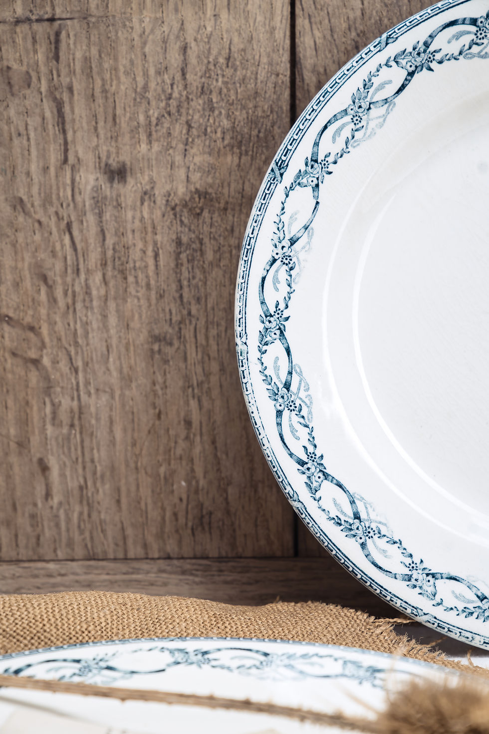 Thumbnail: Pair of French Dinner Plates