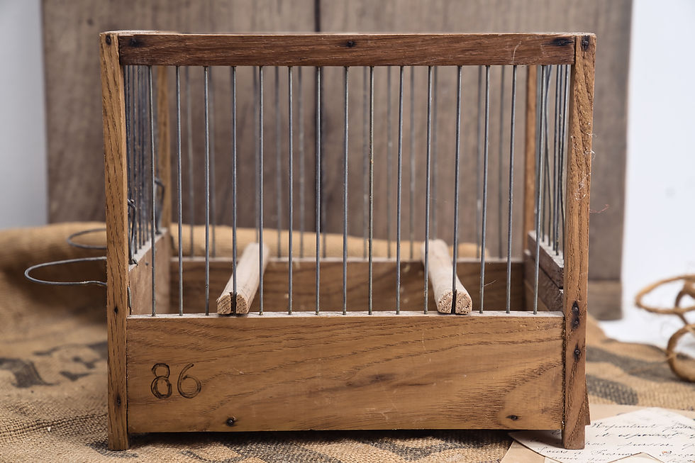 Thumbnail: French Vintage Bird Cage