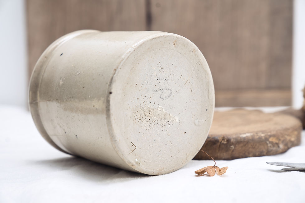 Thumbnail: French Antique Confit Jar