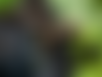 Destination Discovery: Rwanda