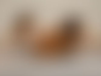 LEAVE BEHIND: PERFORMANCE DI DANZA CONTEMPORANEA