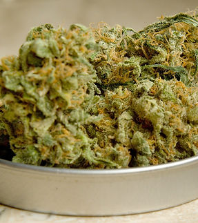 _32535781-8878-4c3c-b82f-ef485051ecd5.jfif