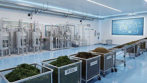 WhatsApp Image 2026-02-11 at 2.56.13 PM.jpeg