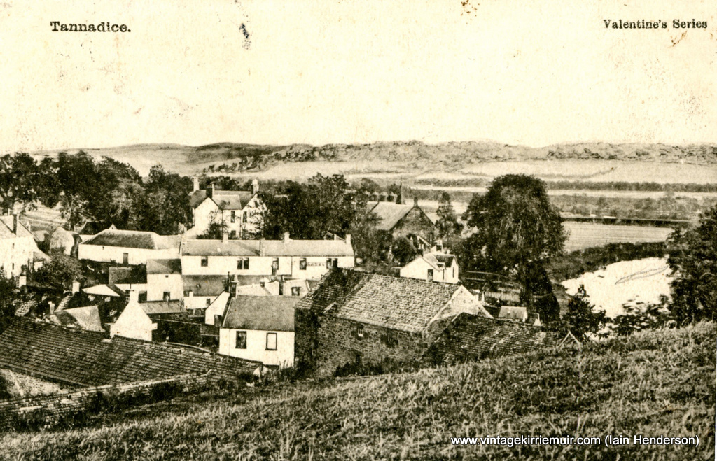 Tannadice, 1904