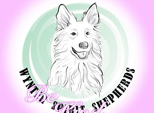 Wynter Spirit.jpg