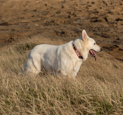 Screenshot 2025-06-29 210651