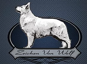 zeichen von wolf.webp