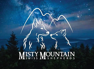Misty Mountain.jpg