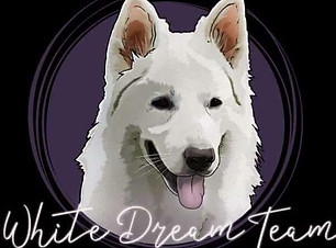 WDT.jpg