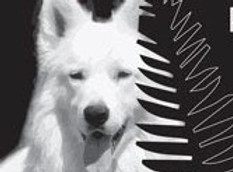 logo-pandora.jpg