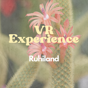 Ruhiland 