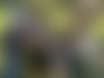 An Ode to 2021 in 21 Highlights