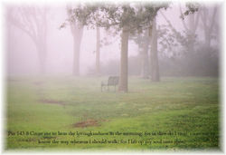 poster foggy bench bok tower.jpg