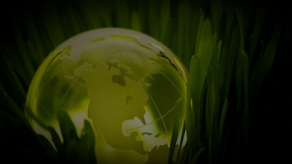 Global Green_edited.jpg