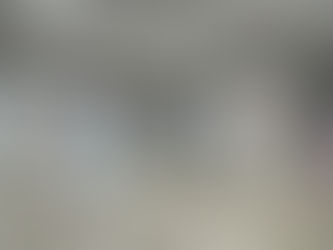 体験に来てくれました